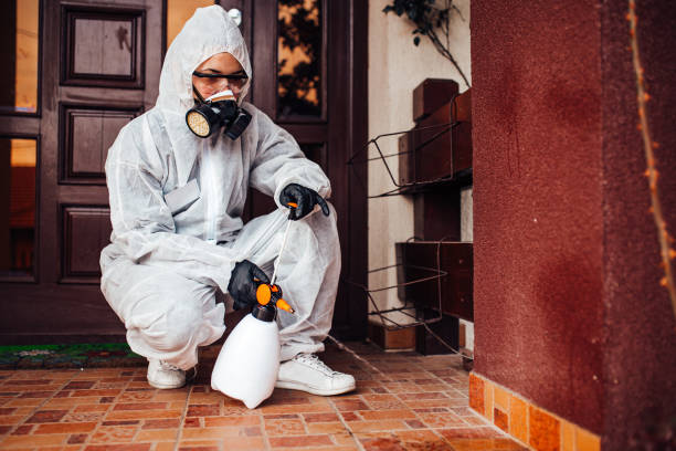 Reliable Wasp Removal contractor in Annandale, NJ by Show Me Pest Control